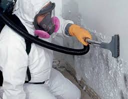 Best Dehumidification Services  in Las Quintas Fronterizas, TX